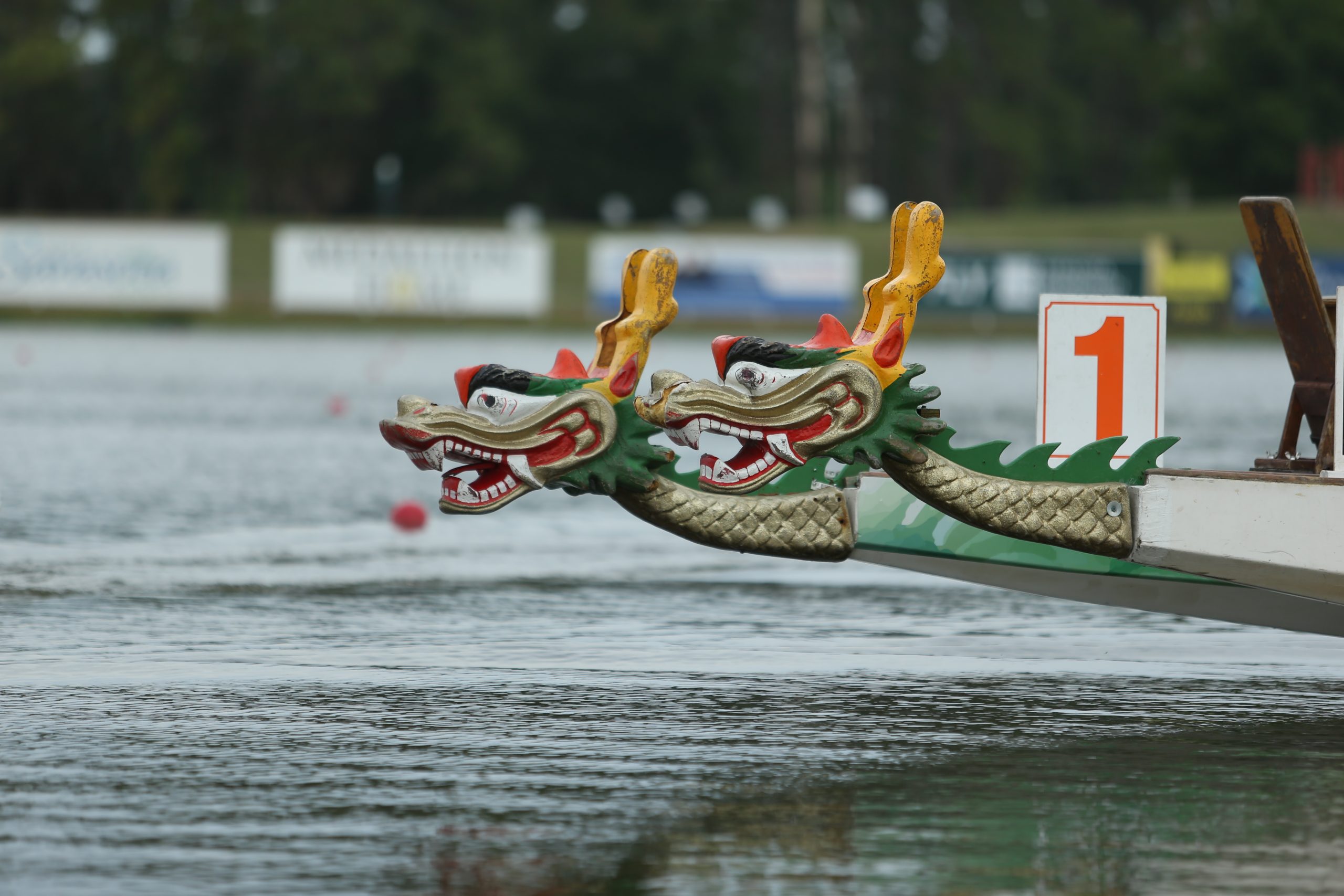 NBP Dragons paddling team